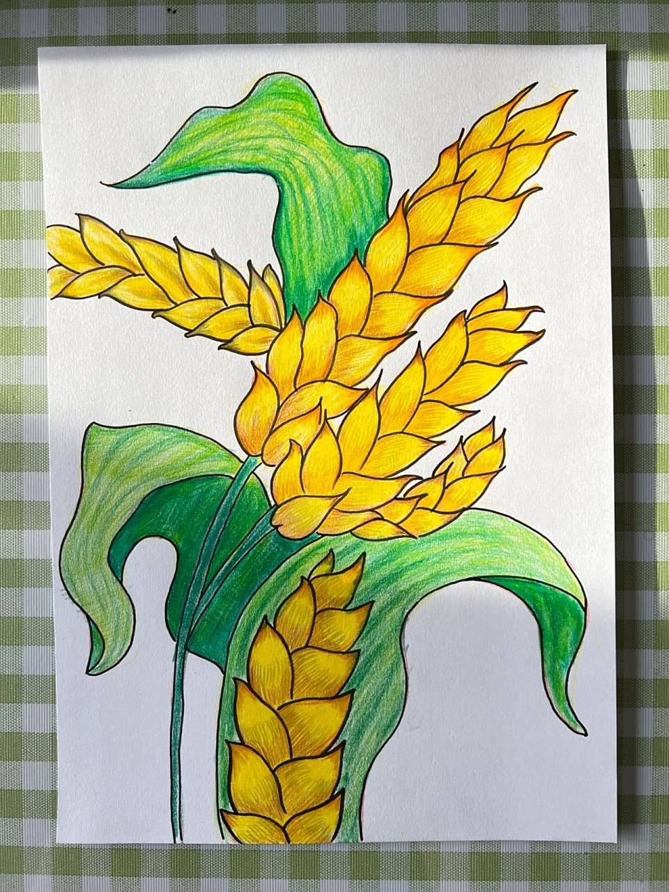 马克笔绘画 麦穗