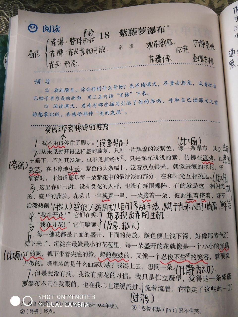 七下紫藤萝瀑布笔记 字写的不太好看