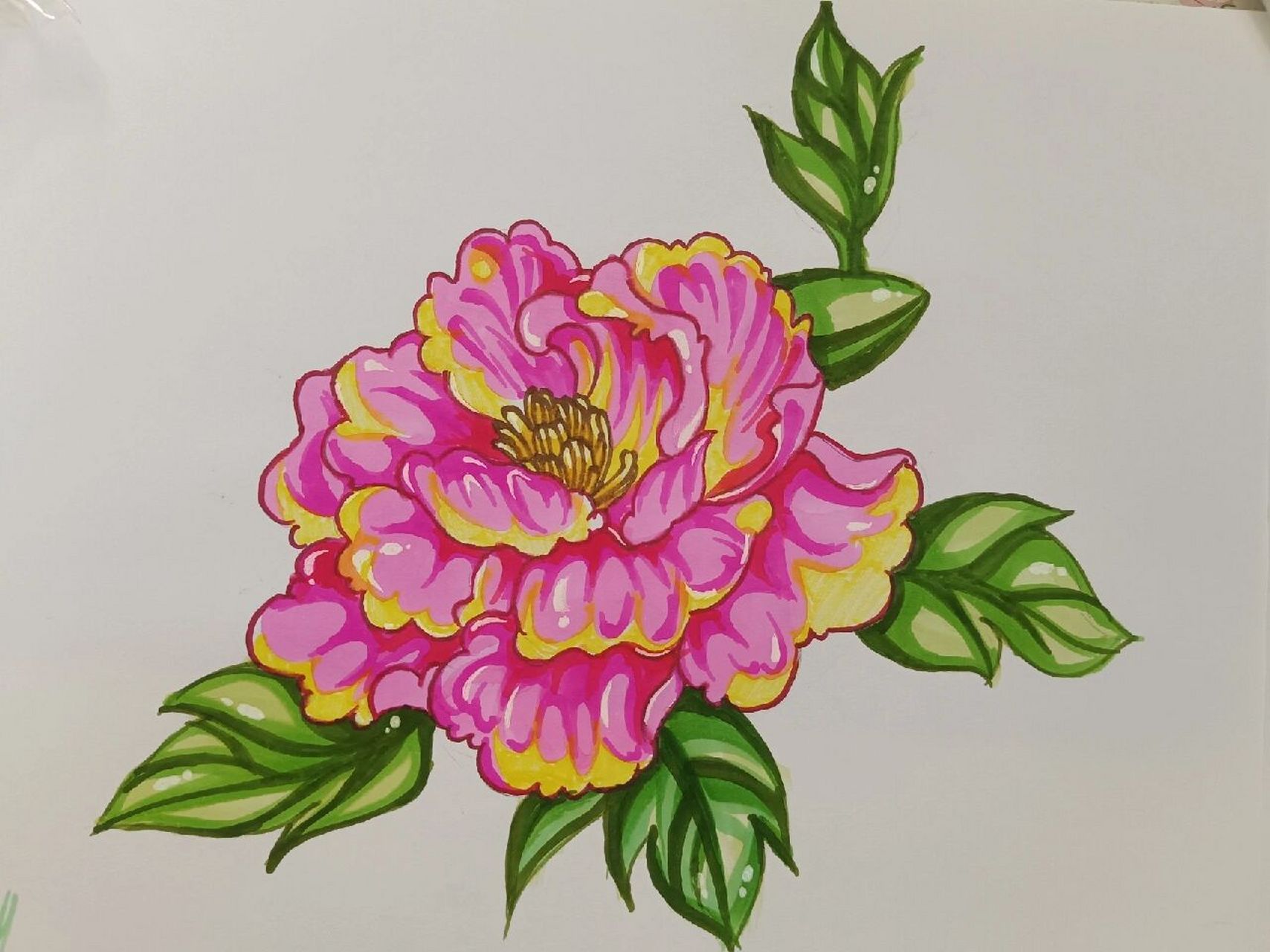 牡丹花马克笔保姆式教程 大家会废了吗