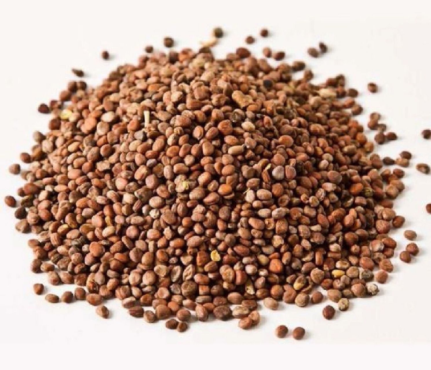 每日一方剂:保和丸 保和神曲与山楂,陈夏苓翘菔子加.