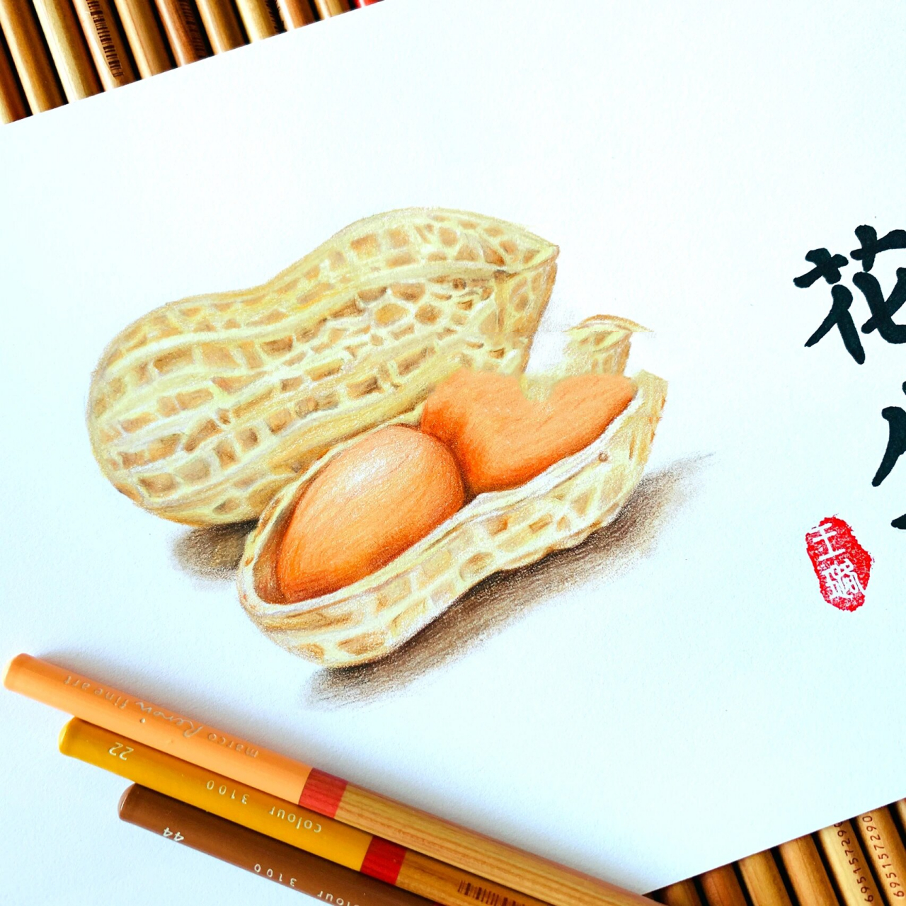 彩铅手绘|花生06 好事"花"生90