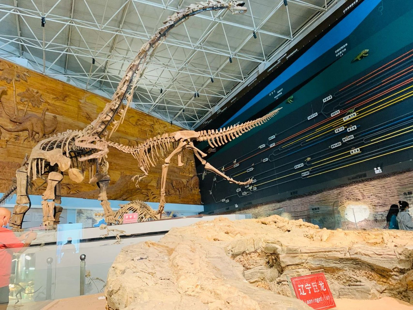 朝阳恐龙化石博物馆