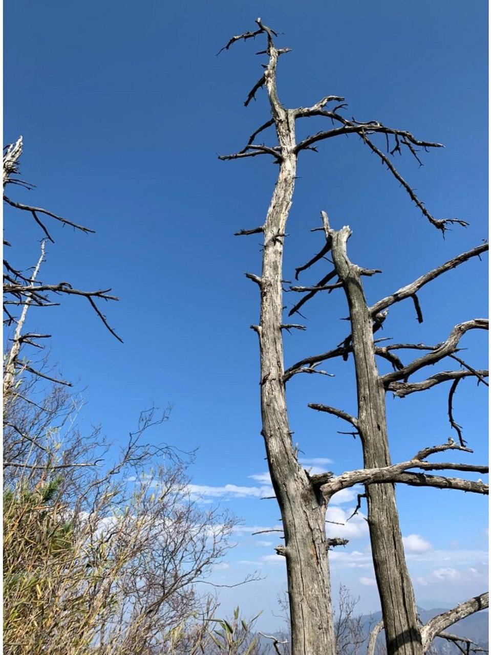扯袍峪上人头山 扯袍峪人头山在秦岭北麓,因山顶有一巨石,从远处看