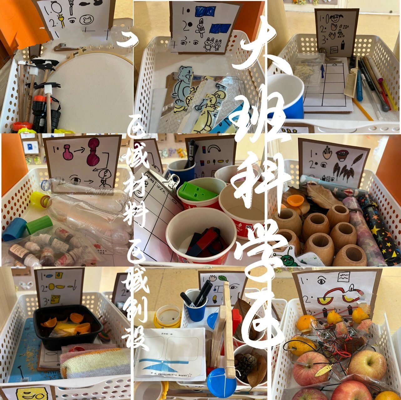 大班科学区材料图片