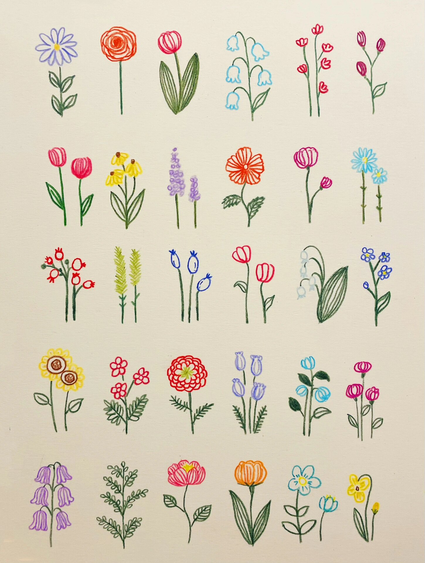 彩铅花朵简笔画,花花让人开心