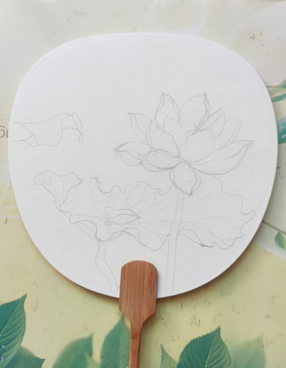 手绘荷花团扇 看到了摄影师 特别好看的照片,画了一把团扇.