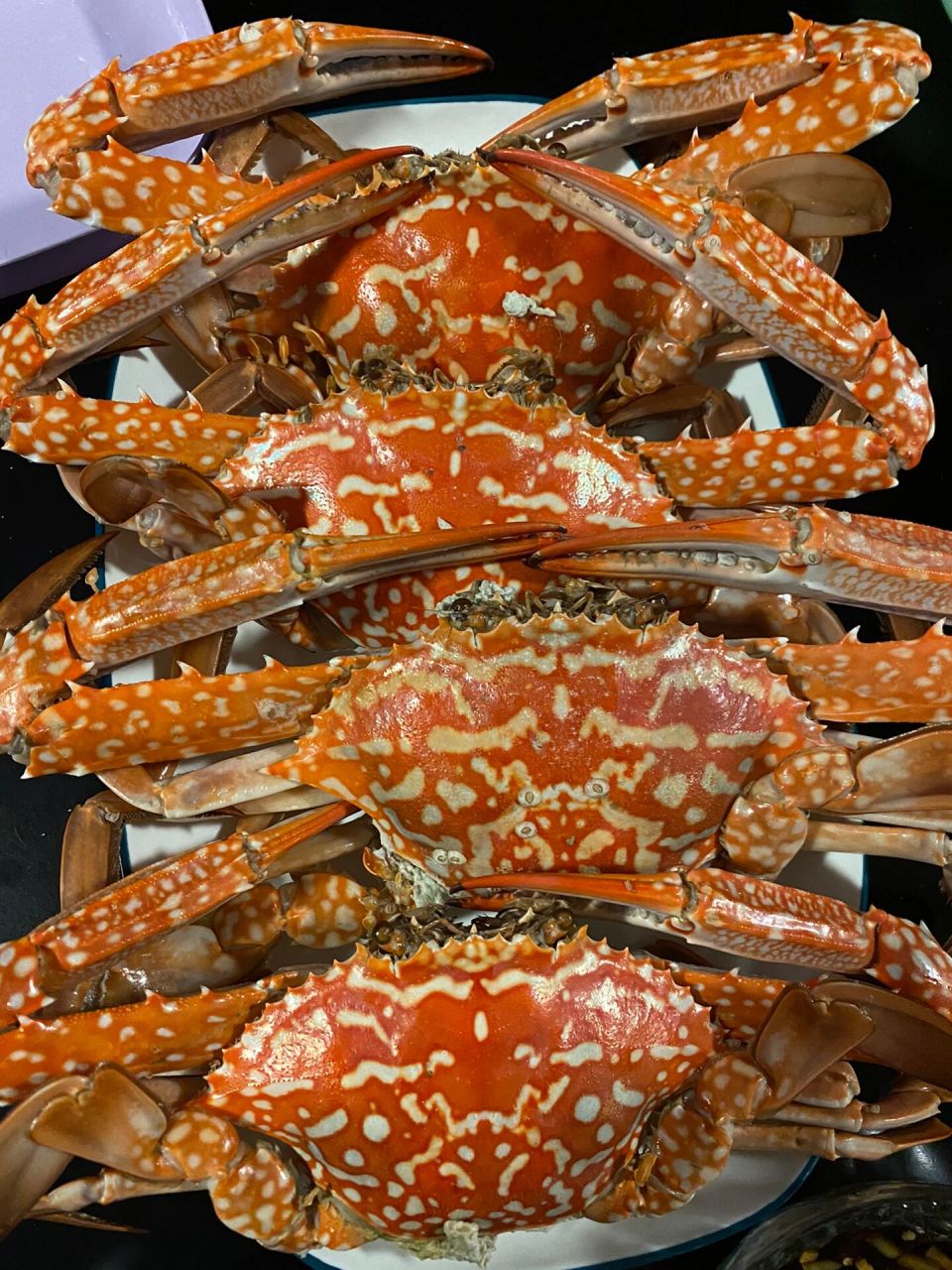 蟹也太便宜了吧 岛上第一餐,婆婆上午在渔船买的兰花蟹,超级肥满肉,好