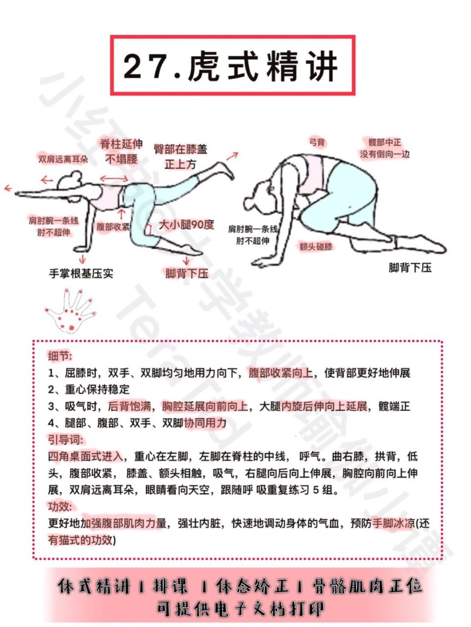 虎式瑜伽图片图片