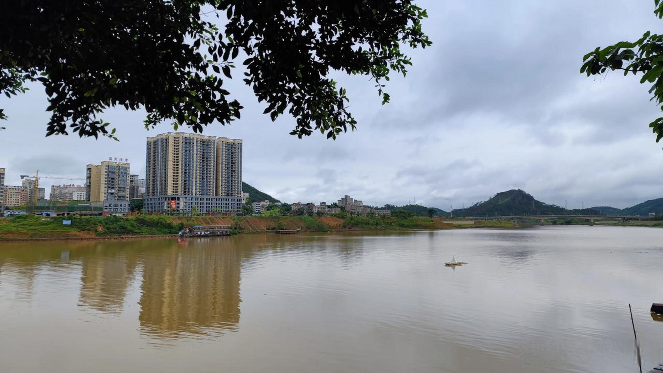 藤县西江受上游雨水影响,江水变得浑浊泛黄.