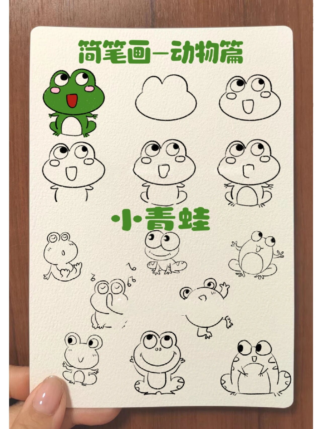 儿童简笔画青蛙/儿童画必备素材/有手就会