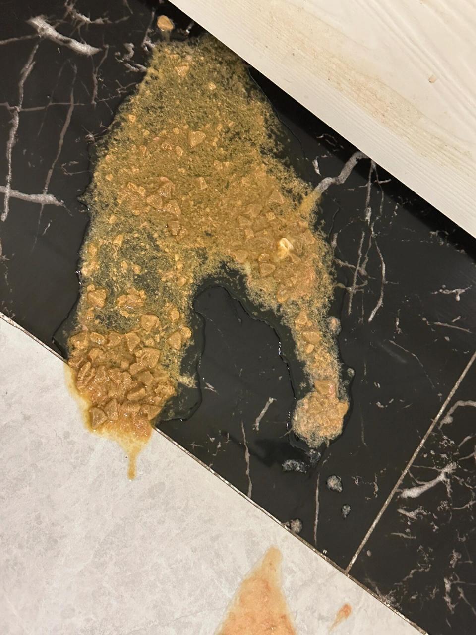 猫咪呕吐 图一是九点半吐的 图二是十点十分吐的 隔了半小时这样,八点