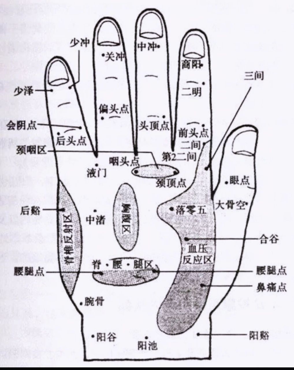 临床通常不存在手上三个穴位一分钟治耳鸣的说法,手部能够改善耳鸣