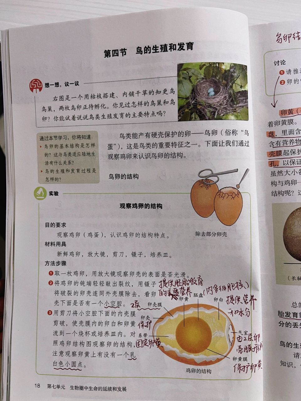 《鳥的生殖和發育》人教版八下生物課本筆記 人教版生物|八年級下冊