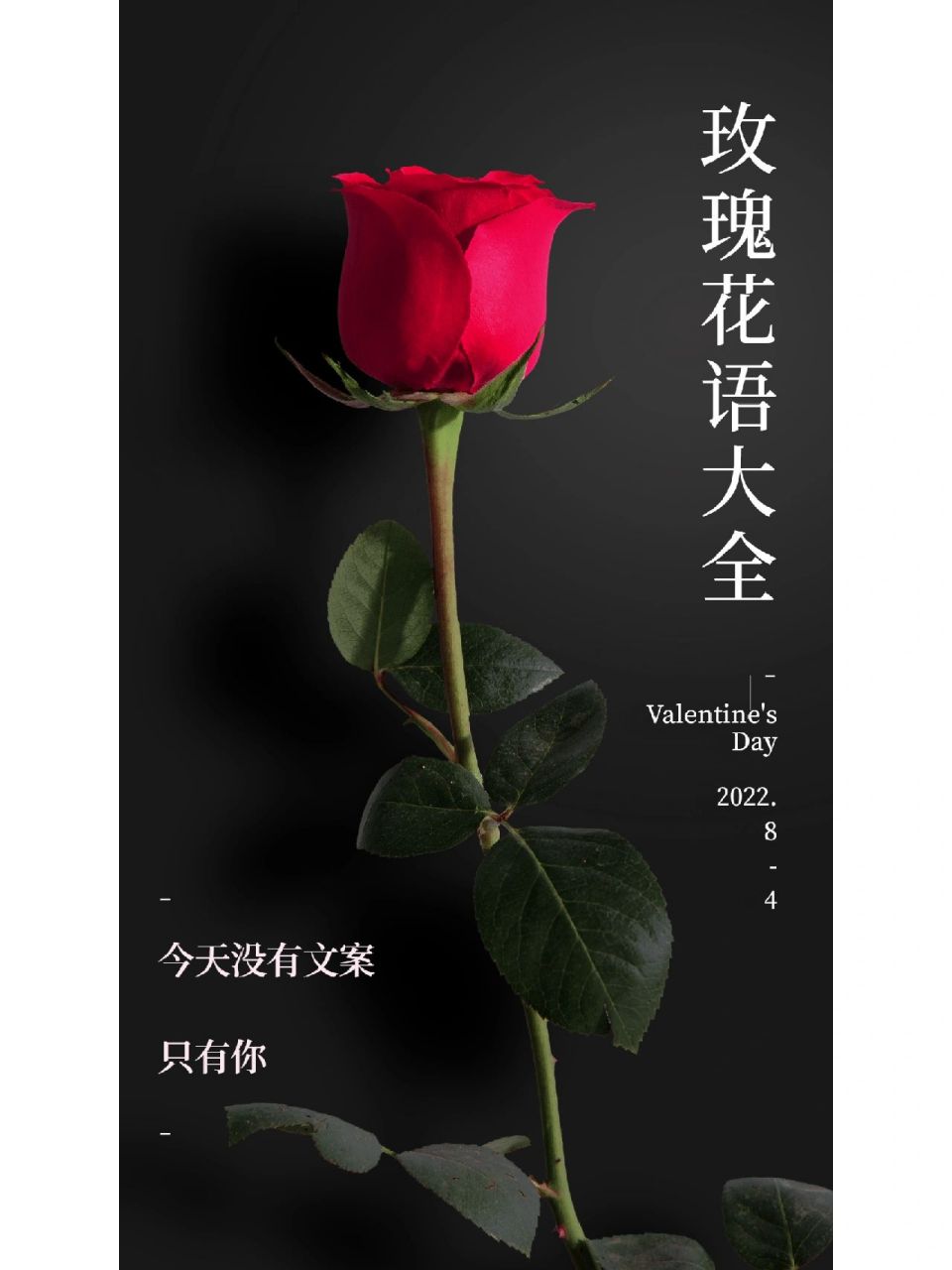 玫瑰花语大全/颜色寓意合集/七夕送礼攻略    【红色】 卡罗拉:幸福而