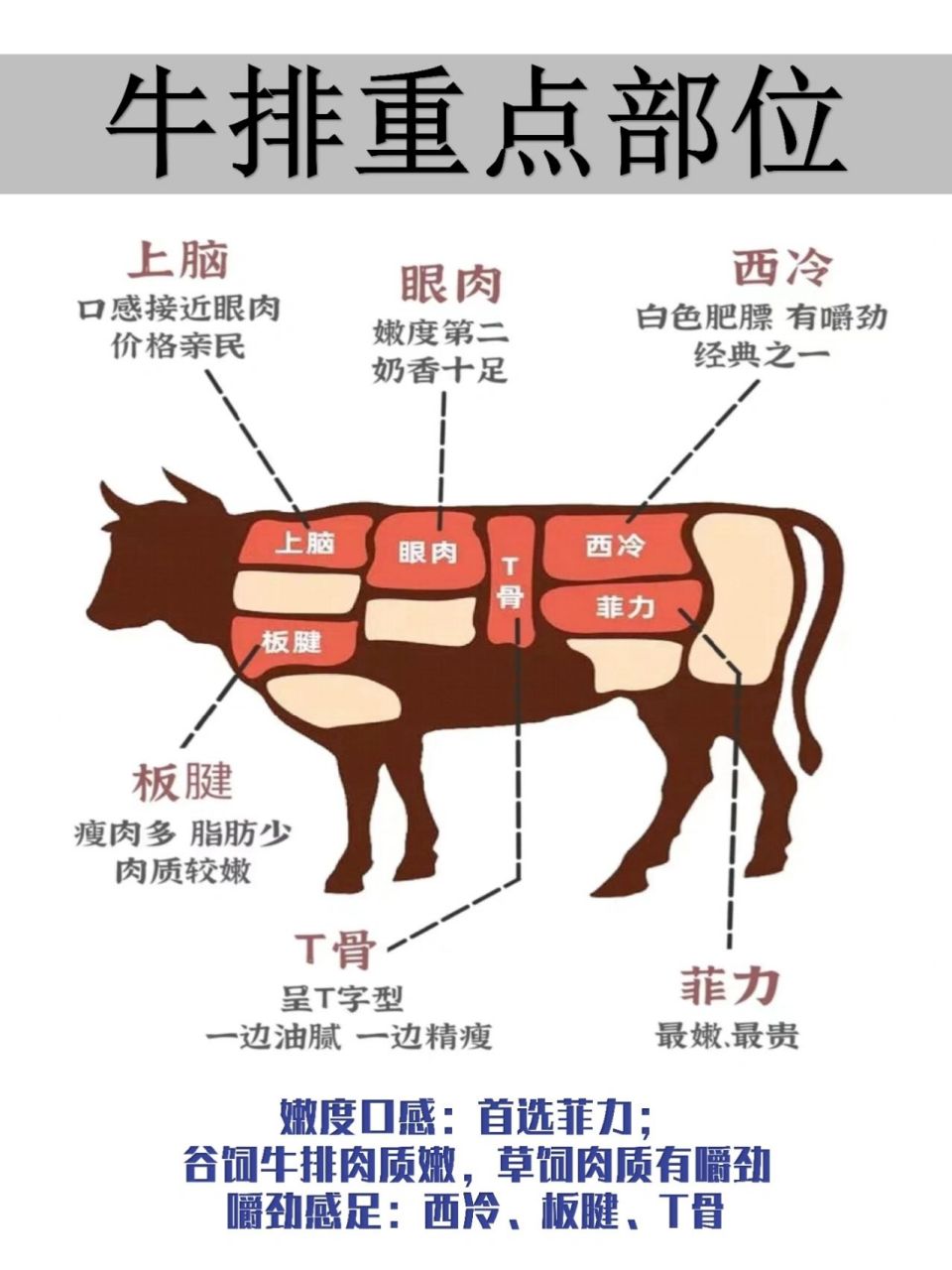 90排部位 ①西冷牛排 99部位:位于牛上腰肉,位于牛肋骨到臀部之间