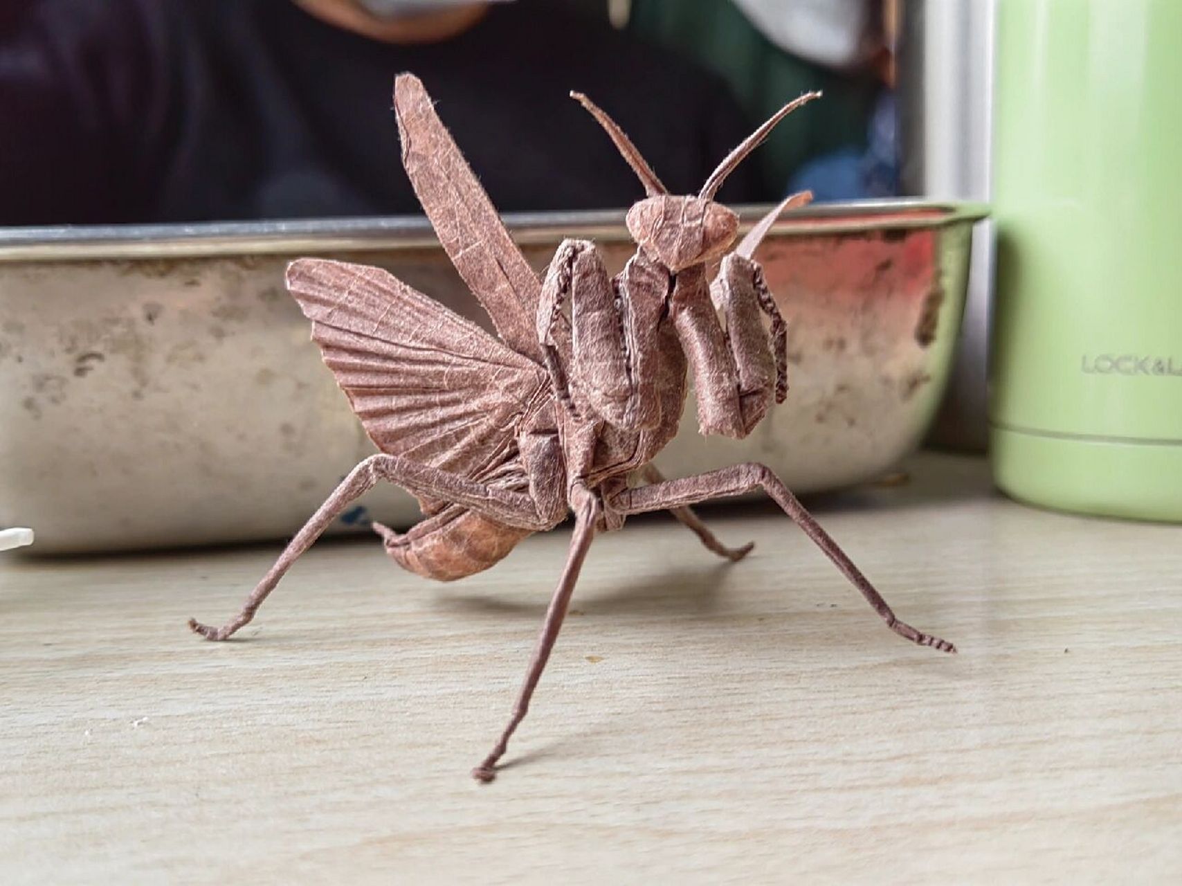 用一张纸折一只大螳螂图片