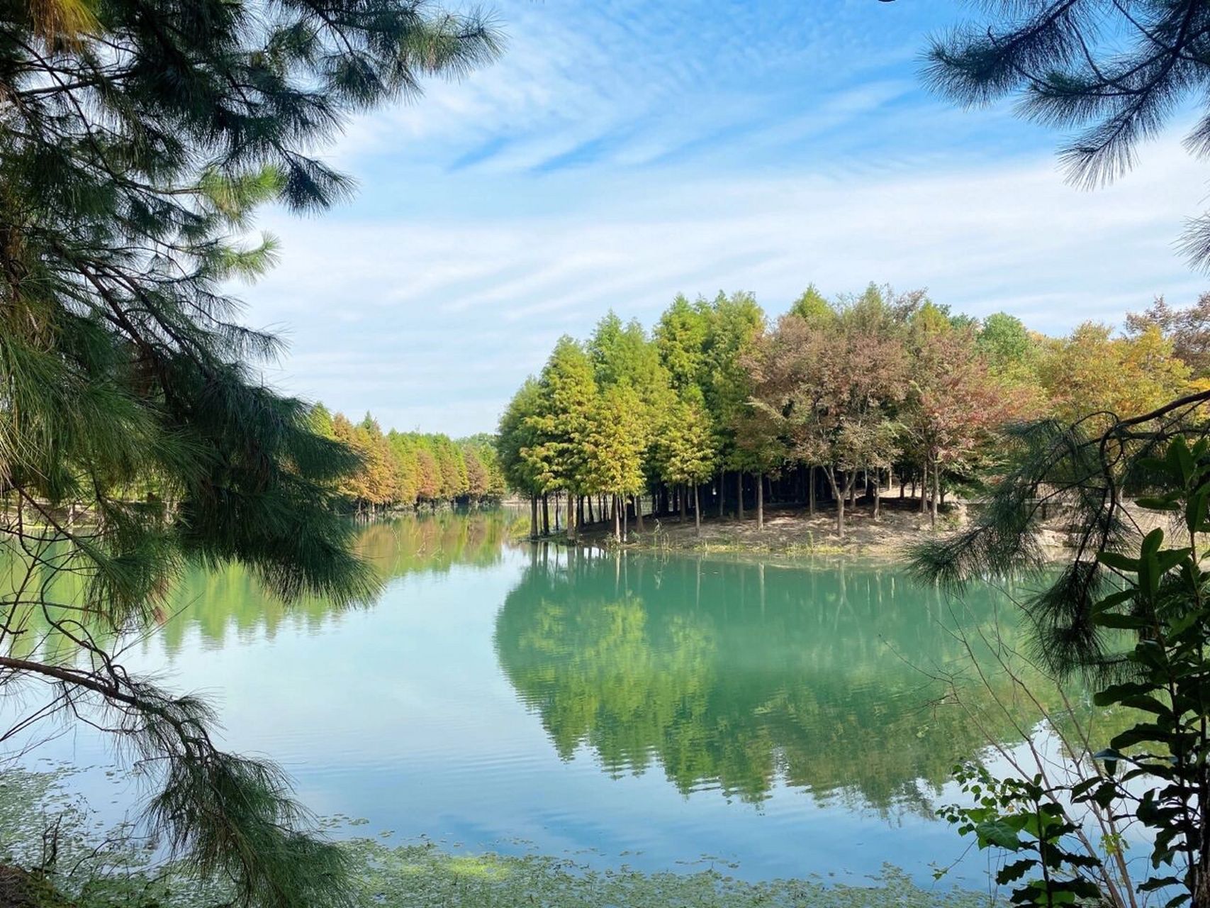 常州小三亚99新龙生态林93水上森林公园 去不了三亚 去不了大理