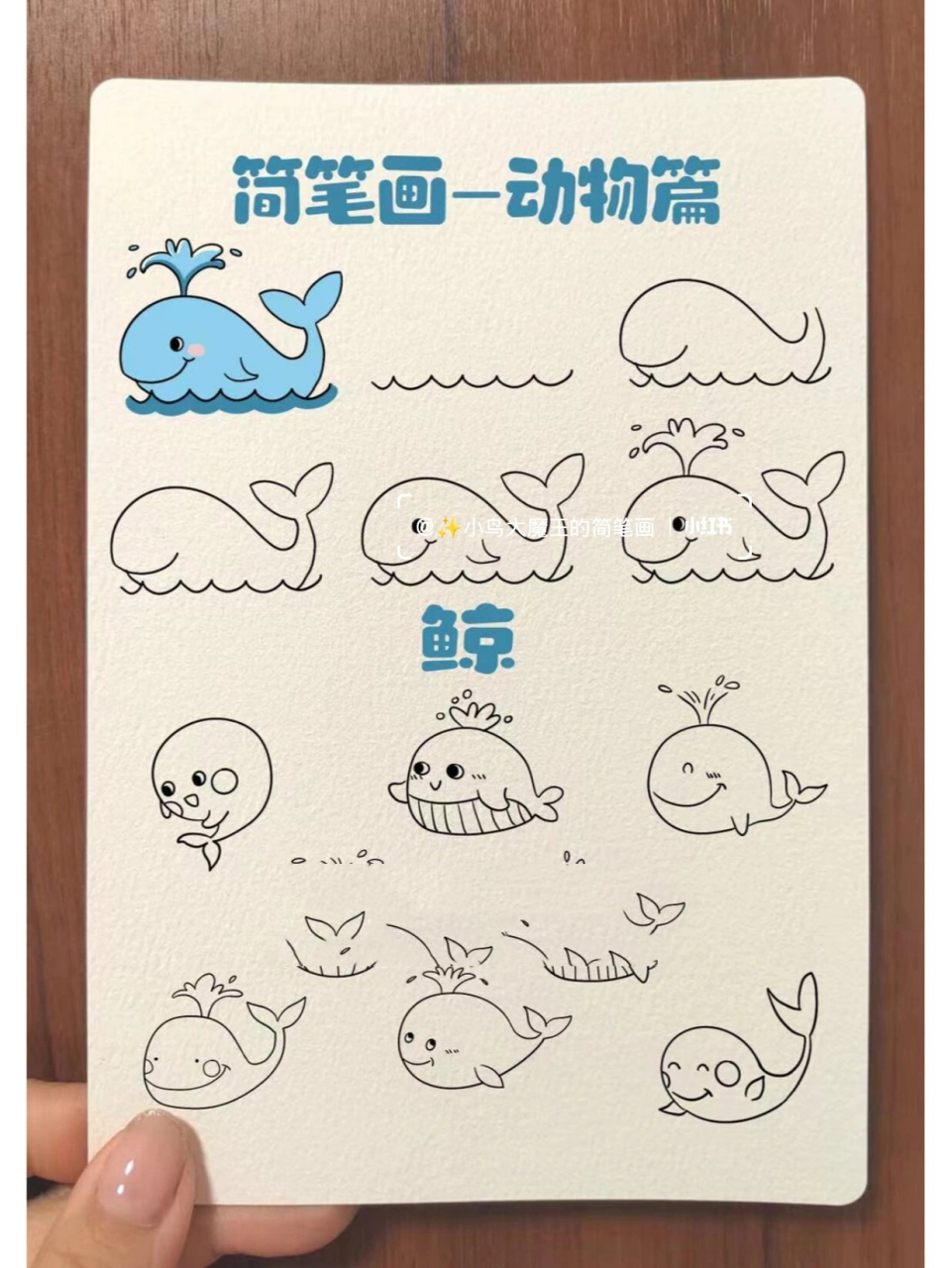 儿童简笔画鲸,步骤,有手就会,小学生必备 鲸鱼来啦95