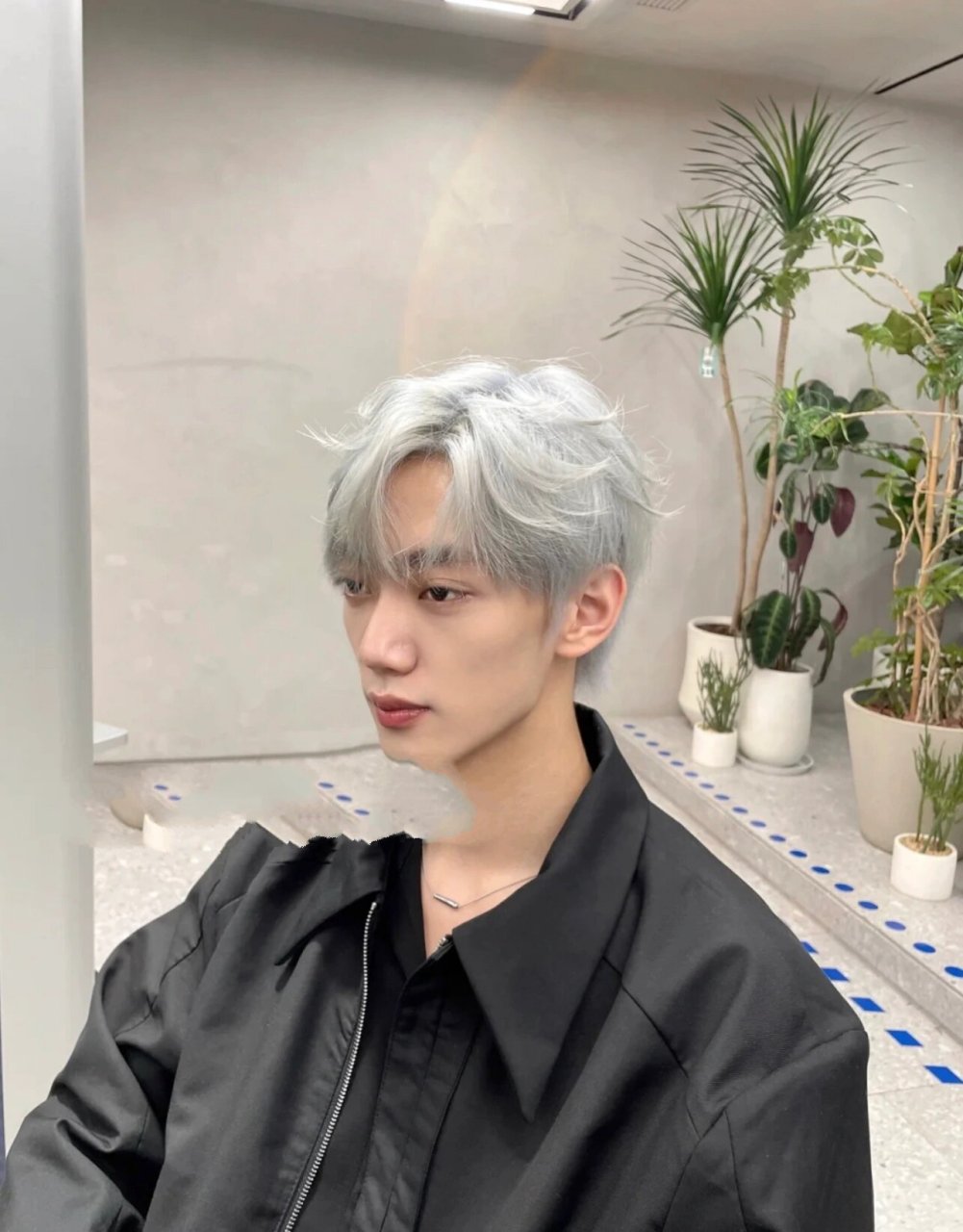 提高颜值不用打理的发色	银灰白色	 男生帅 提高颜值不用打理的发色