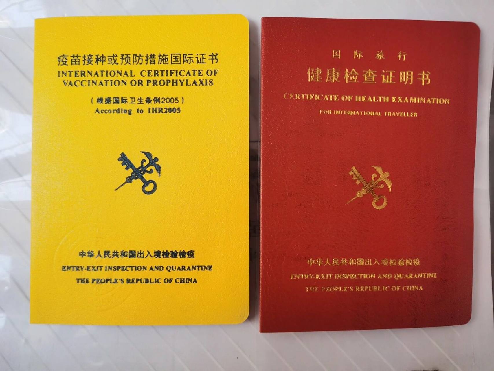 在国际旅行卫生健康中心办理,基本有海关的地方都会有,比如省会城市和