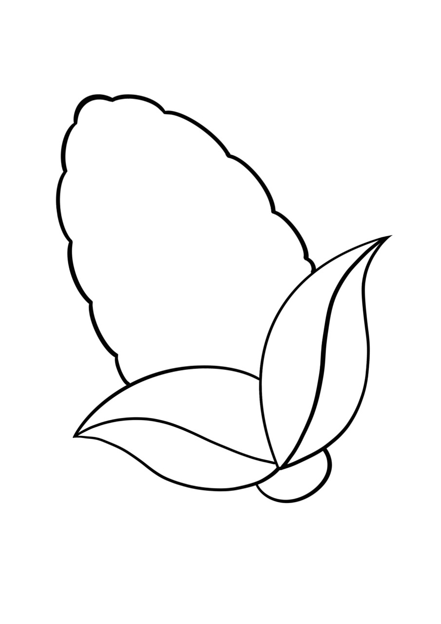 简笔画教程分享 玉米