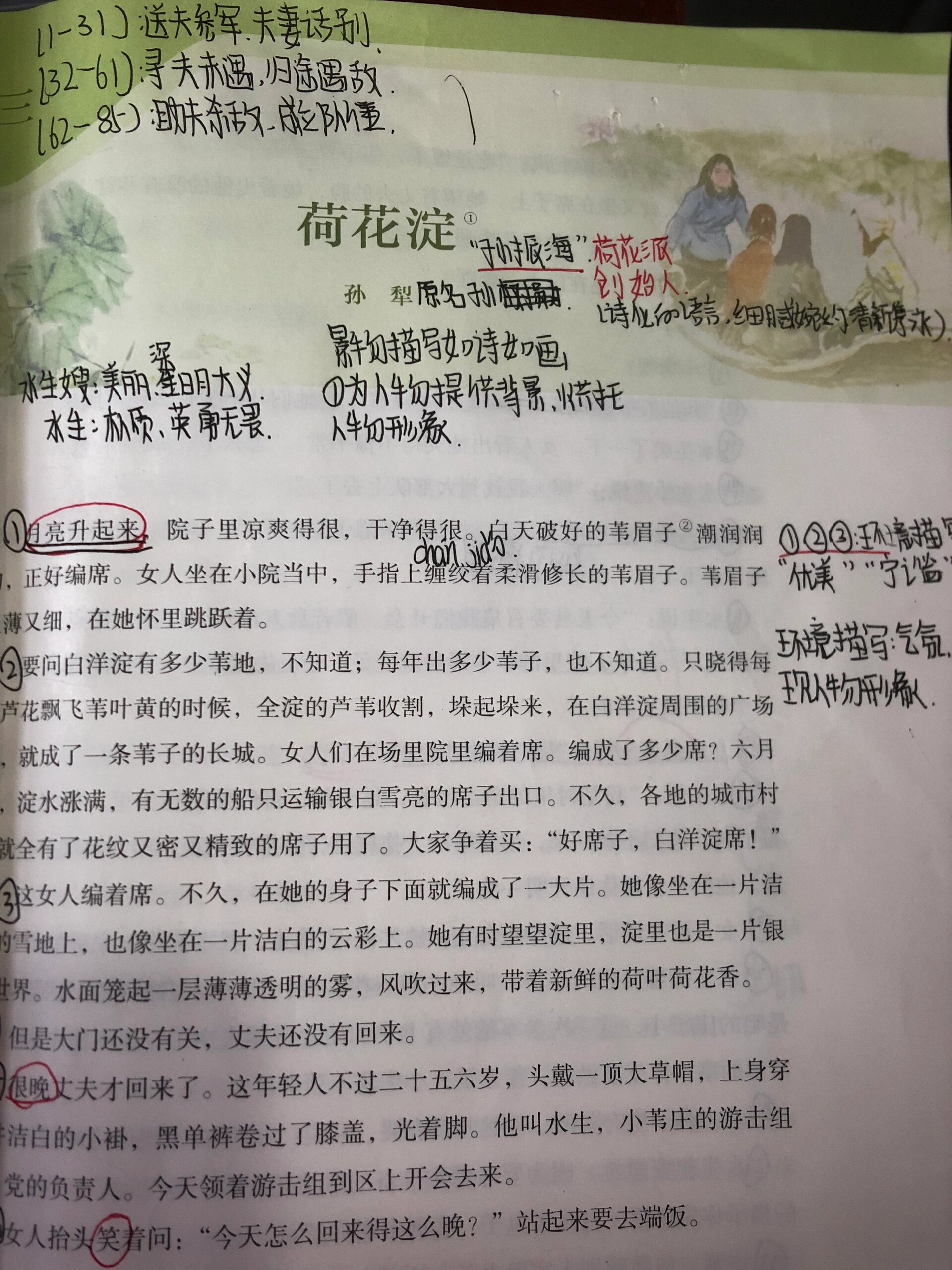 荷花淀主题归纳图片