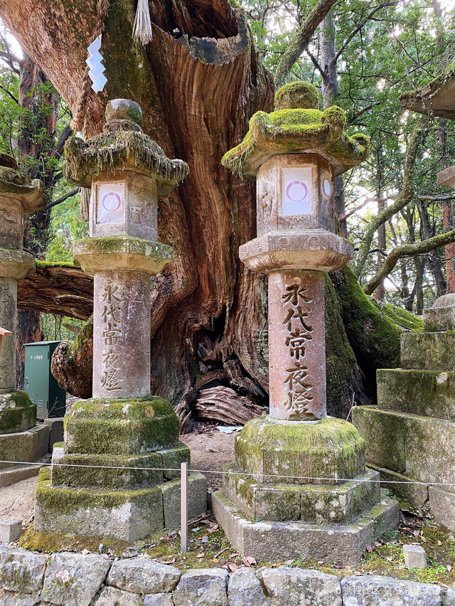 春日大社,古都奈良的世界文化遗产