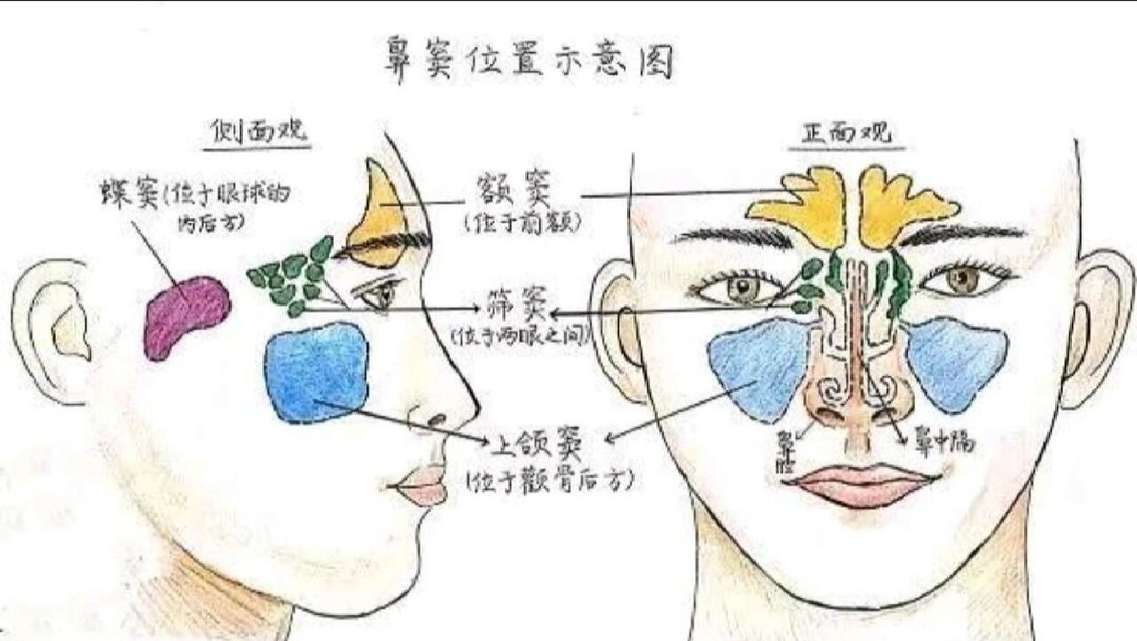 家长注意了,儿童鼻窦炎可引起头痛 鼻窦炎的症状有那些?