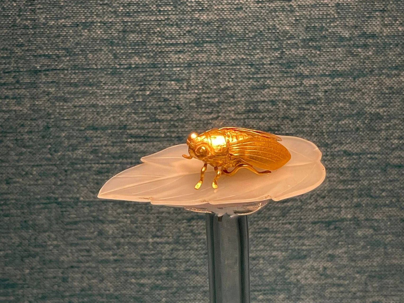 南京博物院 最近去南京博物院的千万别忘了看金蝉玉叶,据说这个宝贝