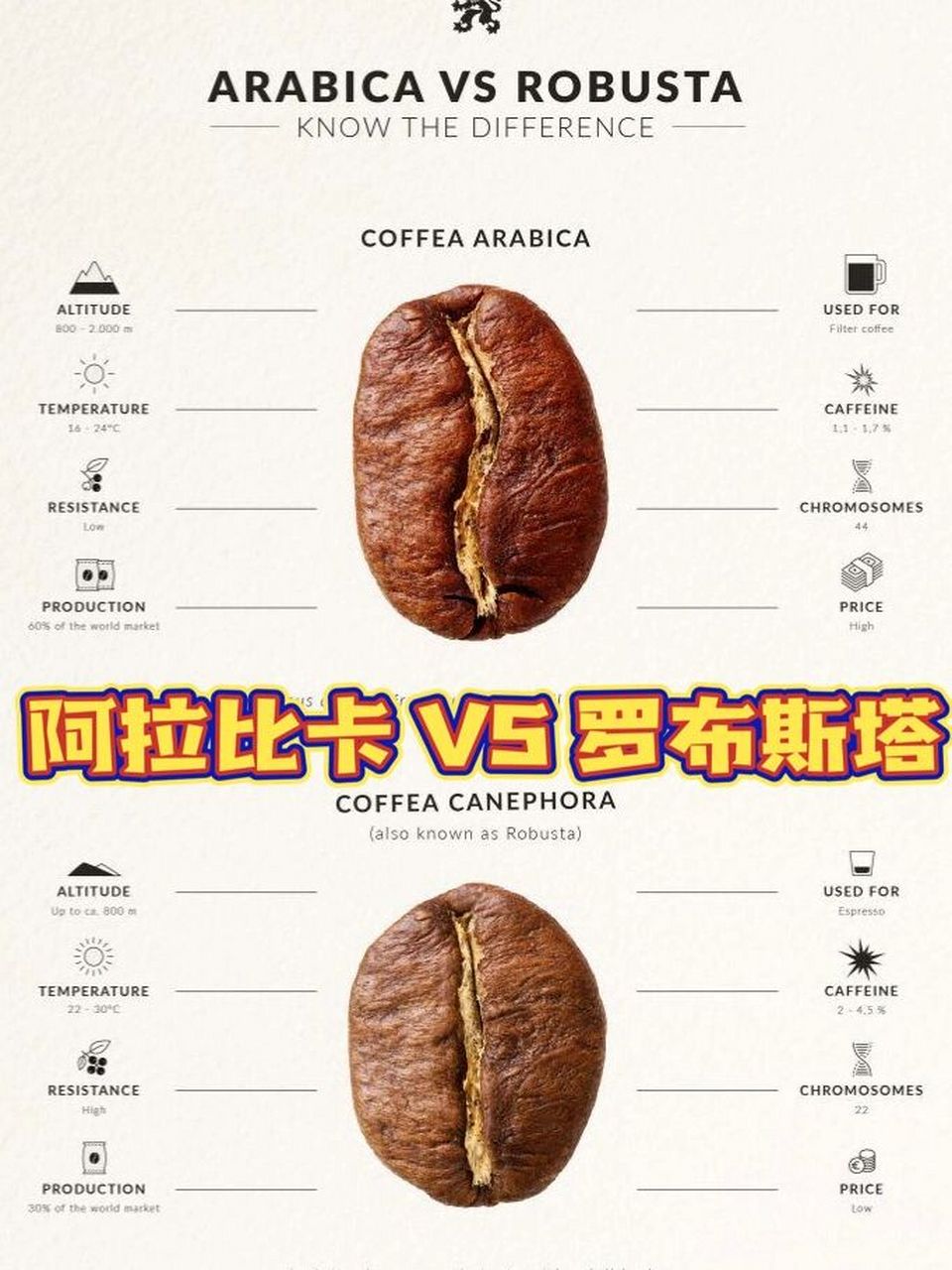 阿拉比卡咖啡菜单图片