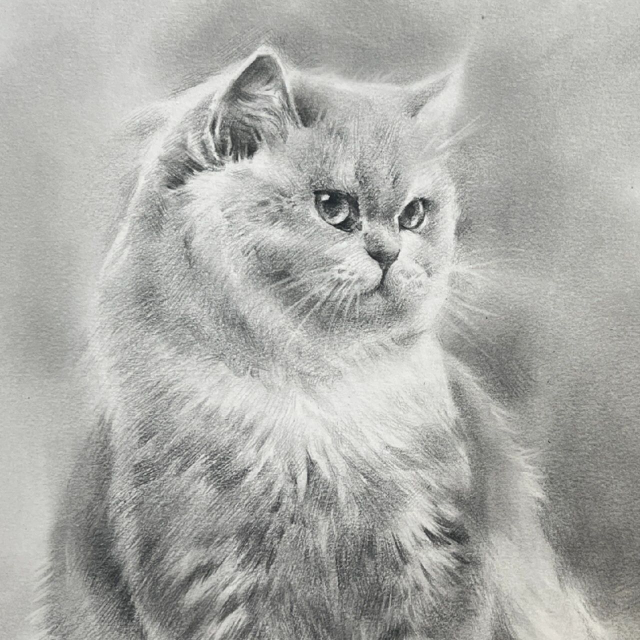 猫咪素描基础课— 不给小鱼干不高兴 回答一些私信的问题 我用的啥