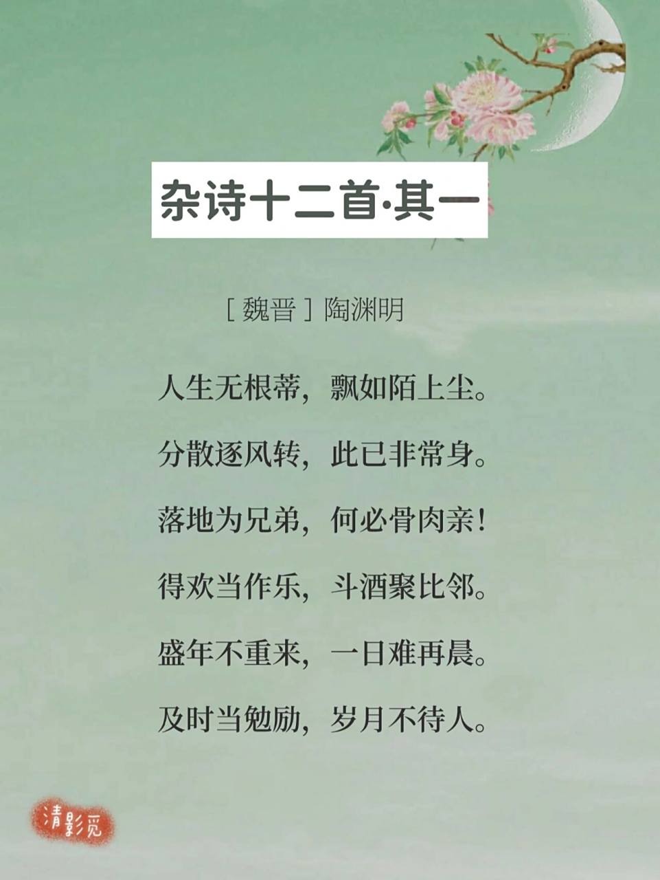 每日诗词129|陶渊明《杂诗十二首·其一》 —— 94【译文】 61