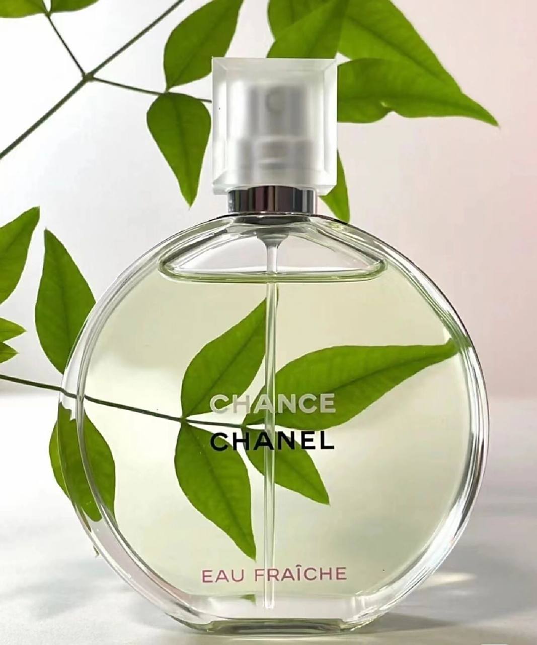 香奈儿邂逅香水(绿色淡香) 香奈儿邂逅香水(绿色淡香) 因为本人不太