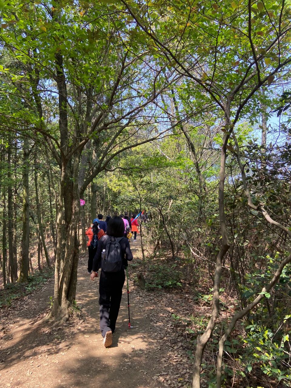 南昌梅林徒步 雷公尖 第一次徒步上山,跟以往的爬石头阶梯不一样,周末