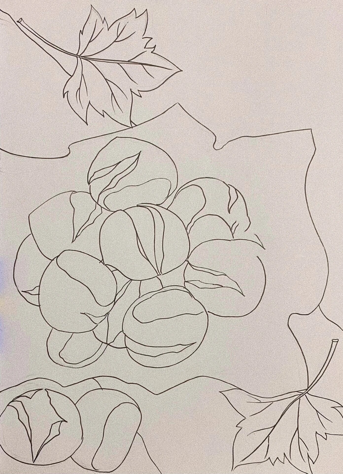 板栗96