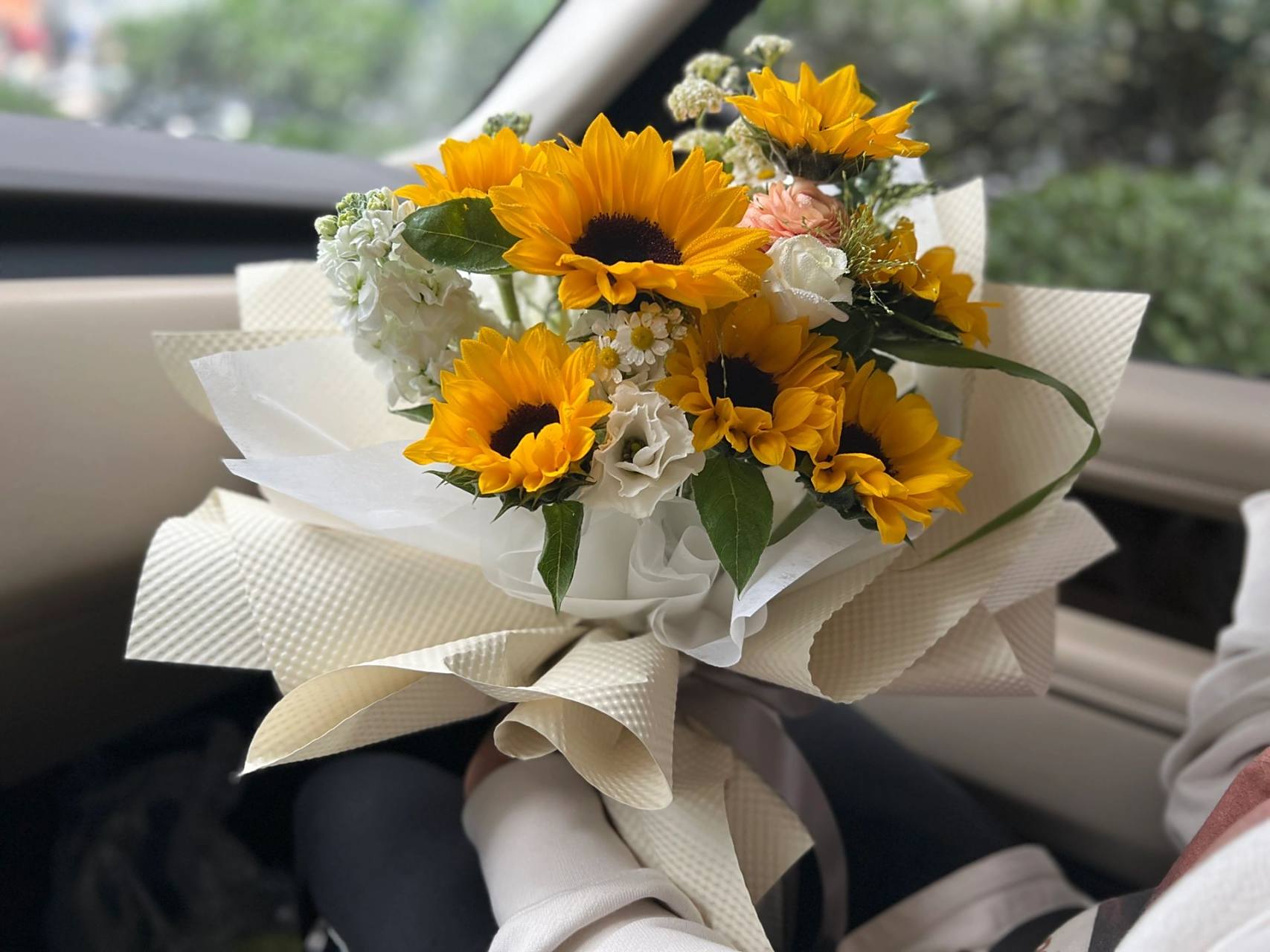 来一束向日葵送给行成人礼的男孩 向日葵又名太阳花,向日葵一直给人