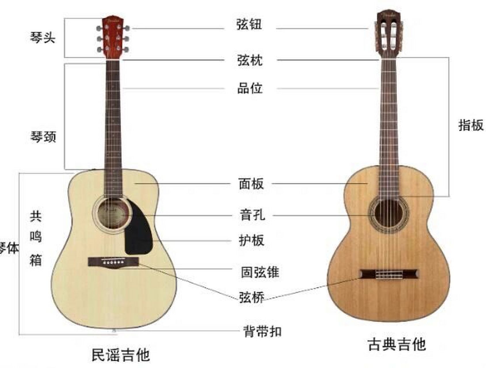 教你分清古典吉他和民谣吉他的区别 从外观上民谣吉