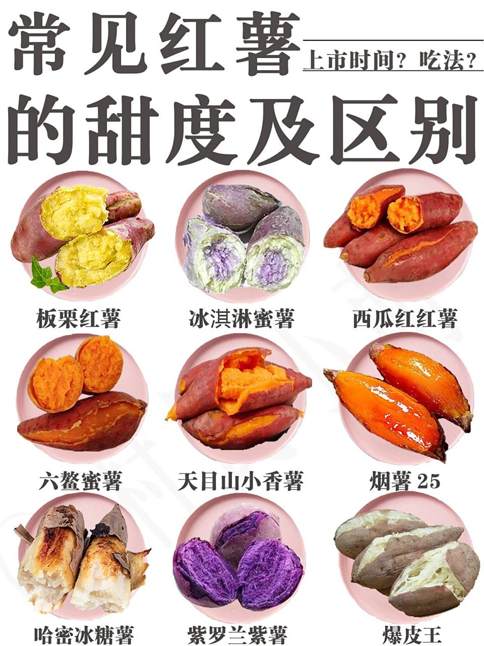 常见的种类,今天一次性讲清楚!