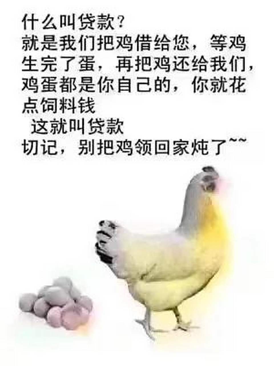 俗话说,经营贷就是借鸡下蛋,鸡借来了,你需要拿饲料来养,这就是你该付