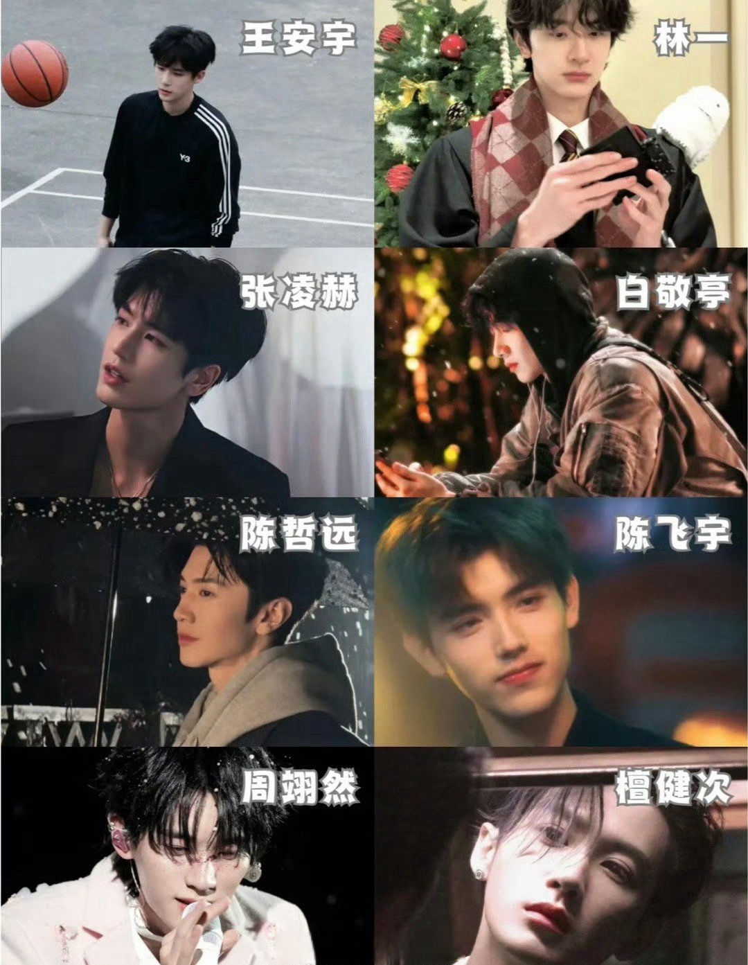 陈哲远—李瓒 《吃饭跑步和恋爱》陈飞宇—甘扬 《难哄》白敬亭—桑延