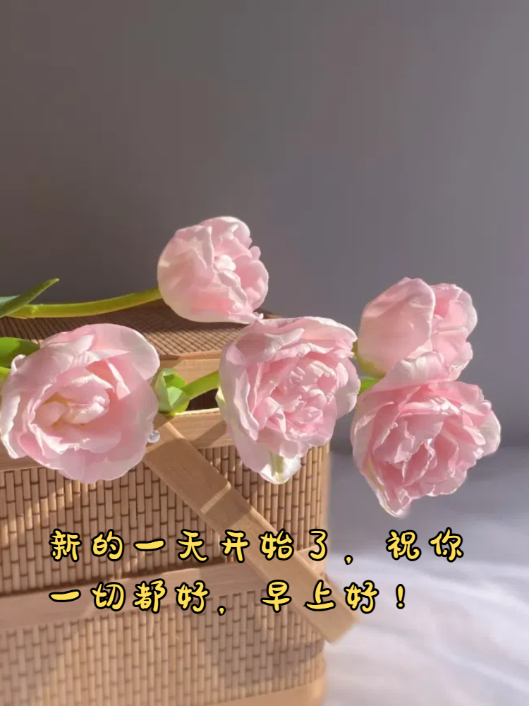 早上好问候的暖心句子 嗨大家好啊,今天分享一些暖心句子: 新的一天
