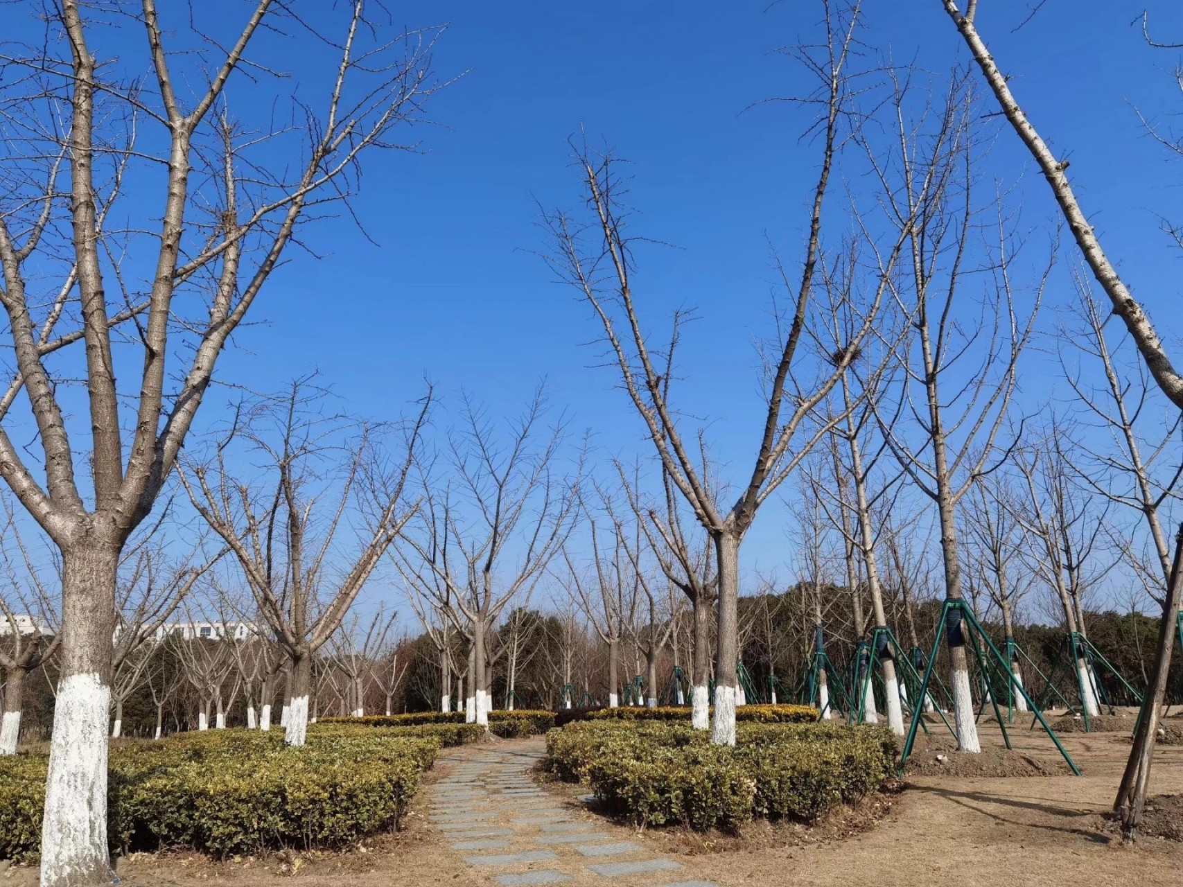 上海九科绿洲公园 九科绿洲公园,位于上海市松江区九亭镇,距上海市