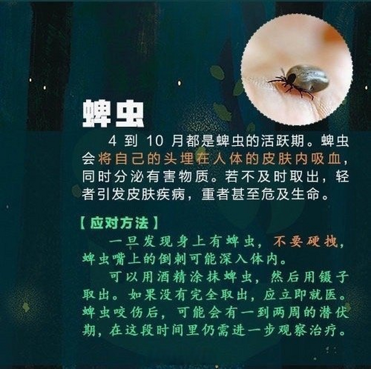 蚊子,螨虫,隐翅虫,蜱虫,恙虫……超全防虫手册 急救法↓扩散!