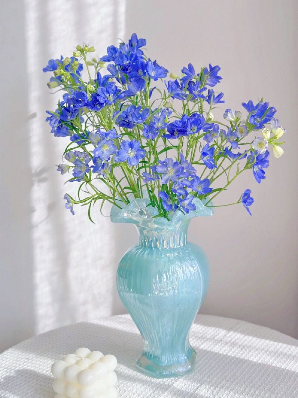 【每日一花】小飞燕day.