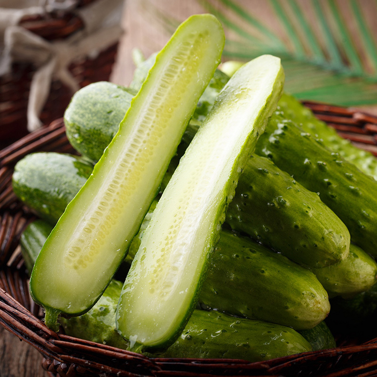 山东省特产 - 海阳白黄瓜 海阳白黄瓜在海阳种植已有上百年的历史,因