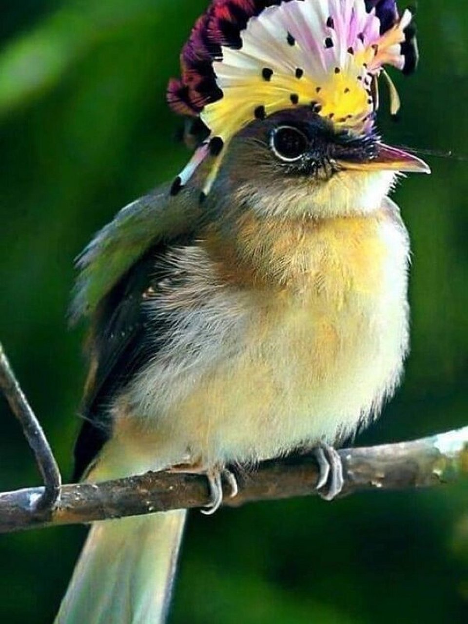 960_1280竖版 竖屏