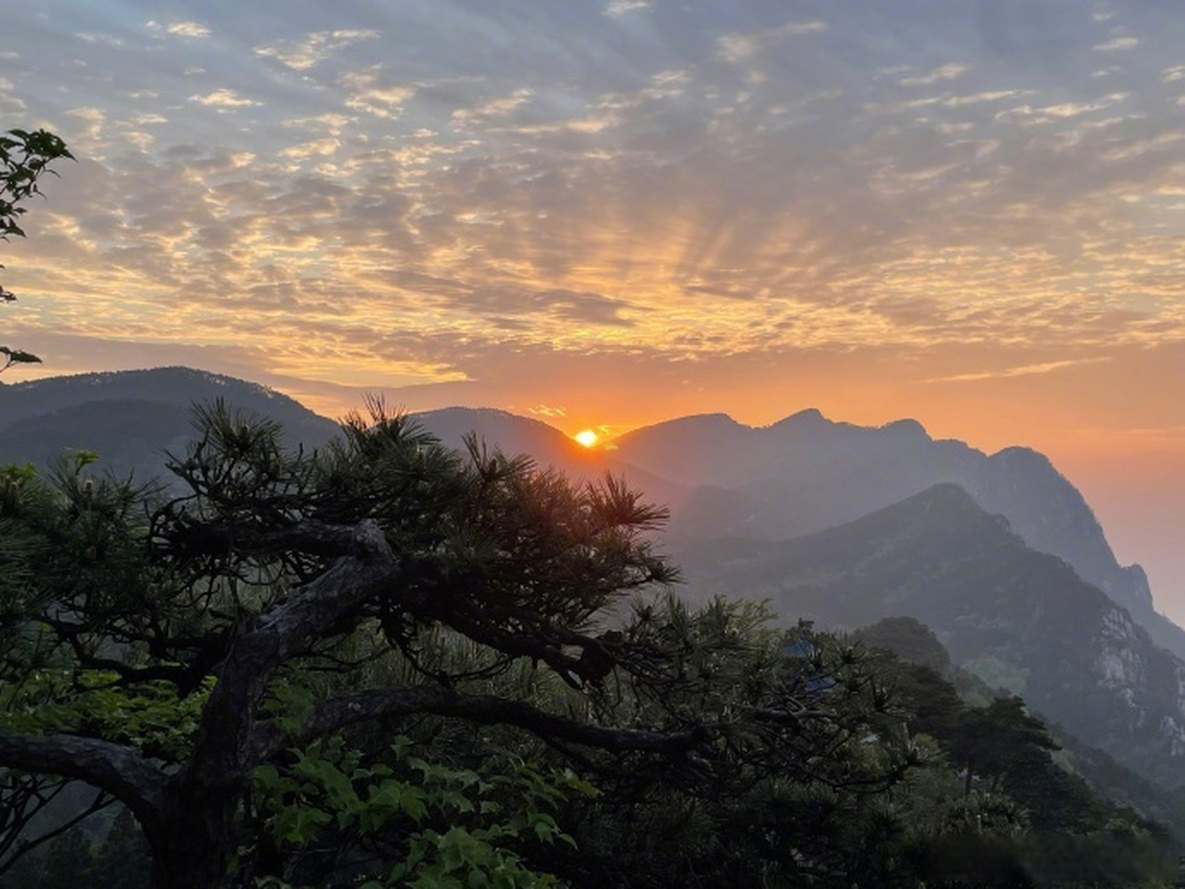 四季竟然如此美好 今日份壁纸来了~庐山含鄱口日出拍摄:李钦  #新时代