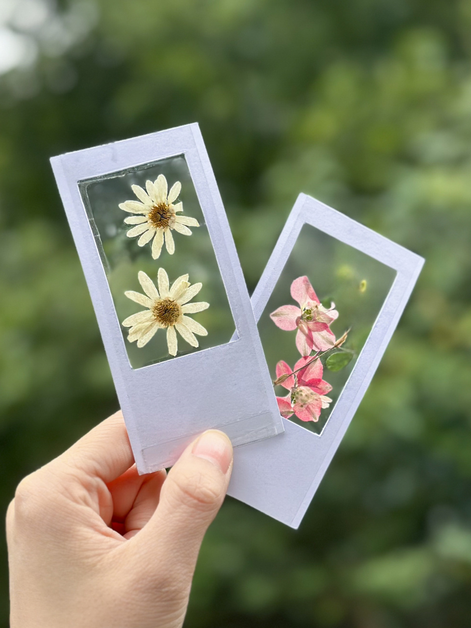卡纸当做相框,用透明胶封存美好的瞬间; 手工diy独一无二的干花书签