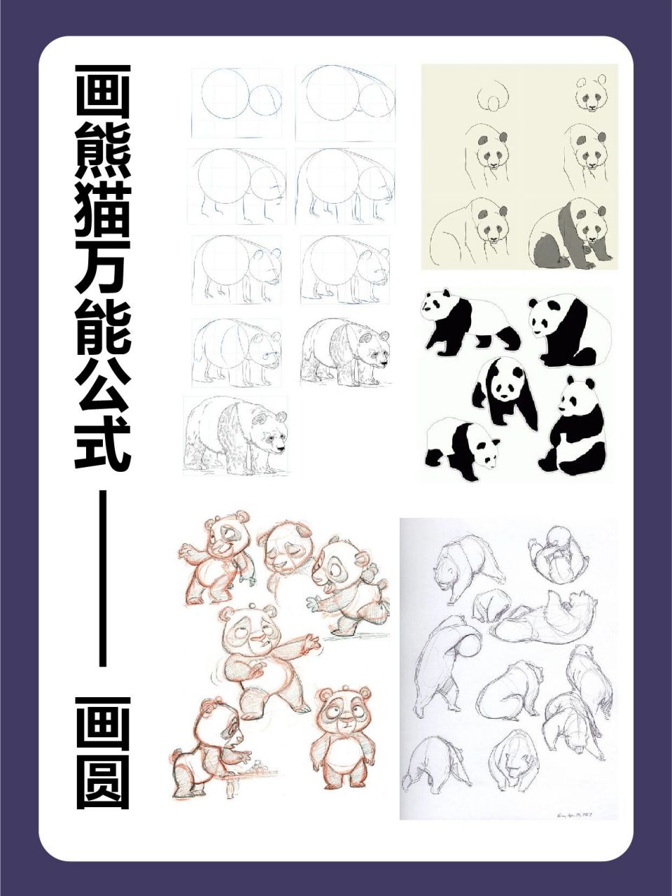 画动物教程  谁都能学会的超可爱熊猫画法 动物绘画系列教程又来啦