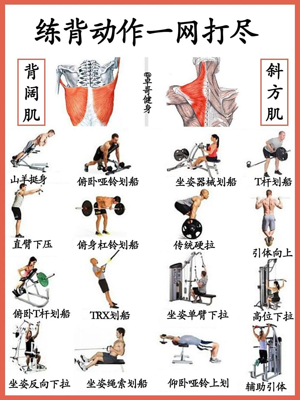 16种练背动作合集 | 值得收藏!